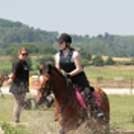 Ecole d’équitation